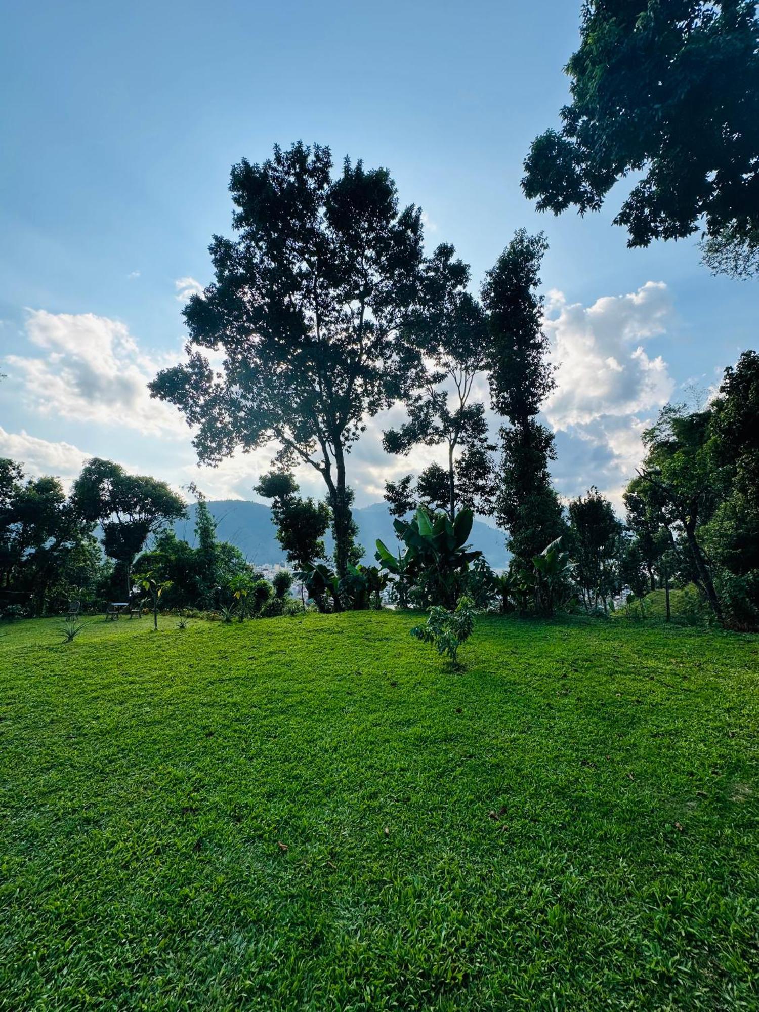 Homeland Forest Villa Pokhara Exteriör bild