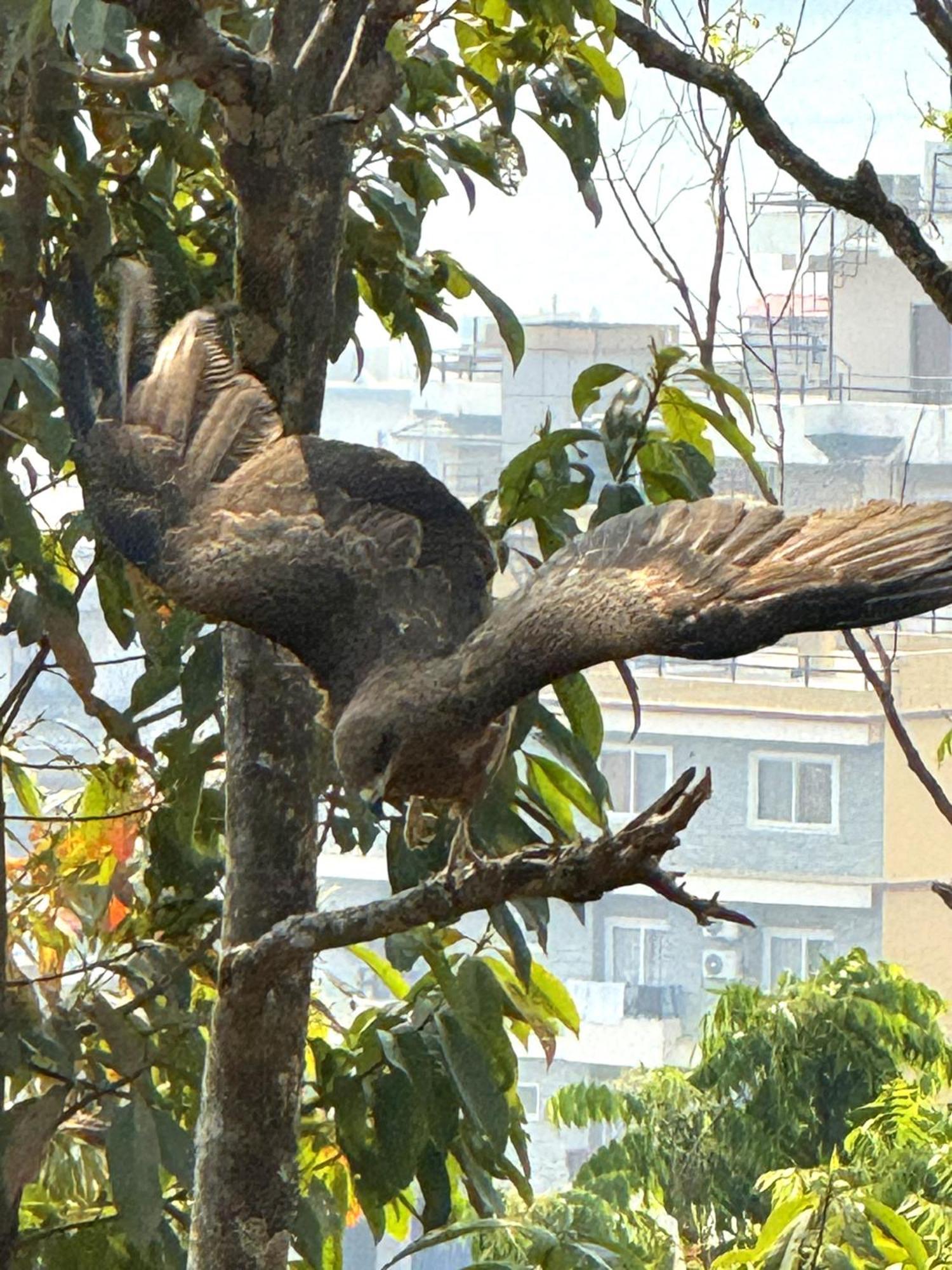 Homeland Forest Villa Pokhara Exteriör bild